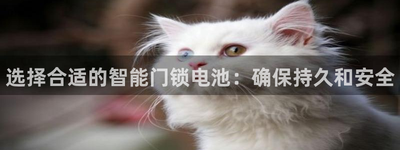 今年会送彩金28：选择合适的智能门锁电池：确保持久和安全