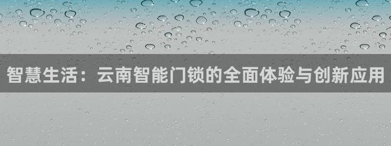 金年会彩票网址下载：智慧生活：云南智能门锁的全面体验与创新应
