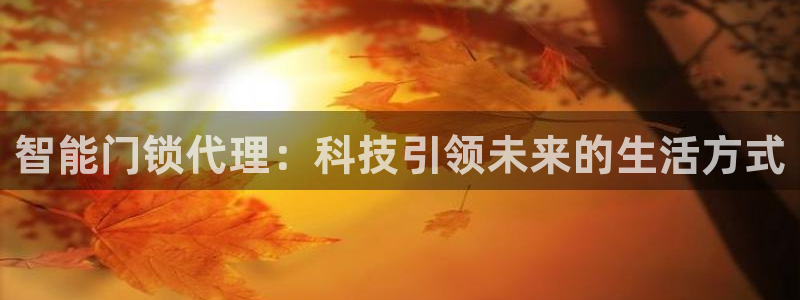 金年会金字招牌至上：智能门锁代理：科技引领未来的生活方式