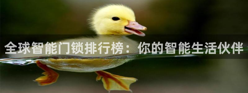 金年会品牌