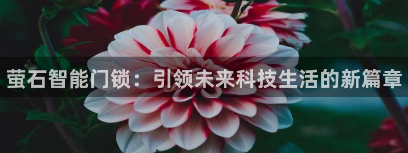 金年会金字招牌诚信：萤石智能门锁：引领未来科技生活的新篇章