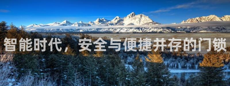金年会在线下载：智能时代，安全与便捷并存的门锁