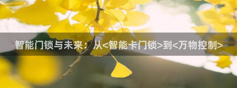 金年会赞助商：智能门锁与未来：从<智能卡门锁>到<万物控制>
