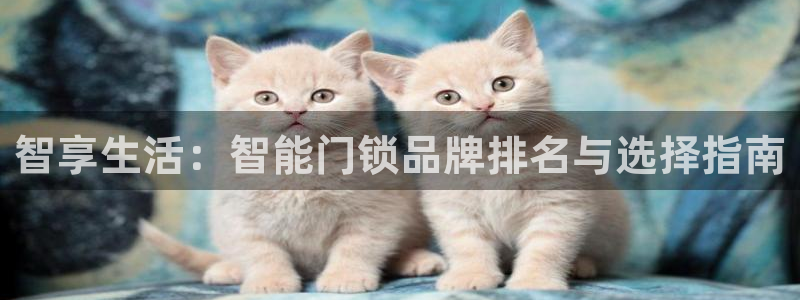 金年会软件在线下载：智享生活：智能门锁品牌排名与选择指南