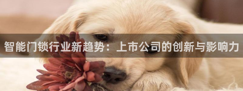 金年会信誉：智能门锁行业新趋势：上市公司的创新与影响力