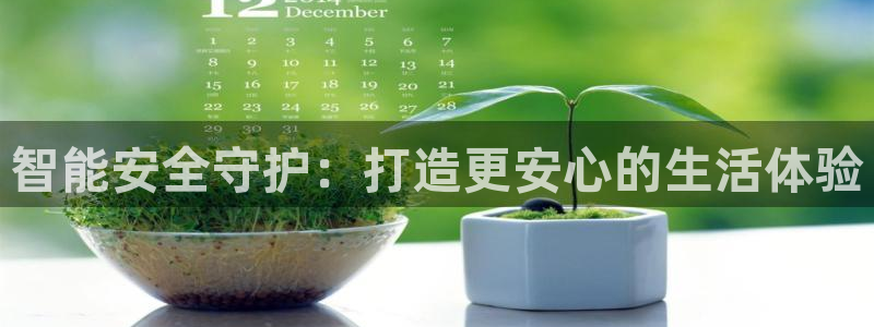 金年会首页登录：智能安全守护：打造更安心的生活体验