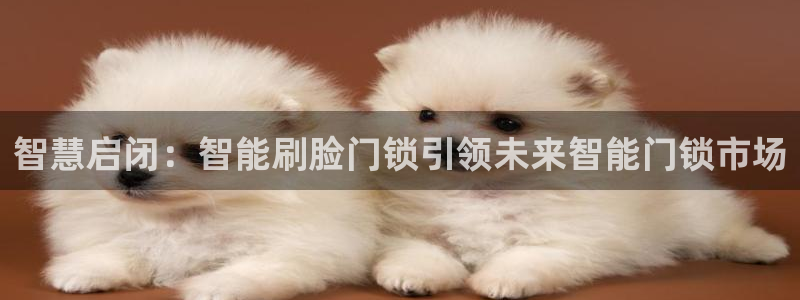 金年会首页登录：智慧启闭：智能刷脸门锁引领未来智能门锁市场