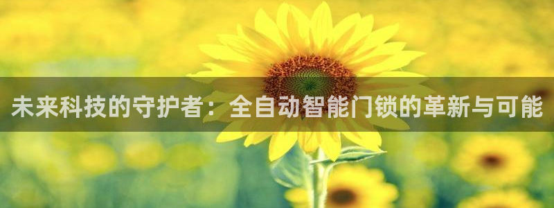 金年会网页登录：未来科技的守护者：全自动智能门锁的革新与可能