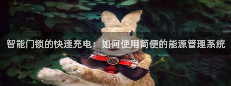 金实年会：智能门锁的快速充电：如何使用简便的能源管理系统