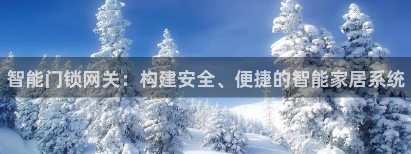金年会娱乐下载app：智能门锁网关：构建安全、便捷的智能家居