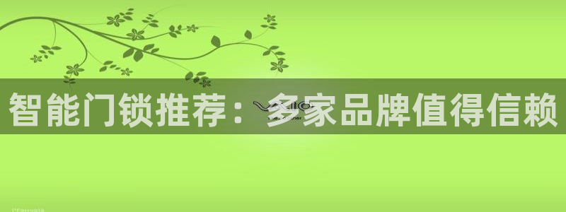 金实年会：智能门锁推荐：多家品牌值得信赖