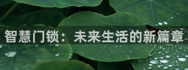金年会开户：智慧门锁：未来生活的新篇章