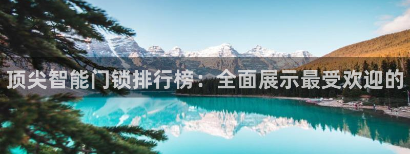 金年会会：顶尖智能门锁排行榜：全面展示最受欢迎的