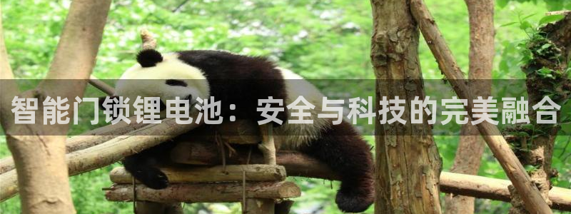 金年会6766001：智能门锁锂电池：安全与科技的完美融合