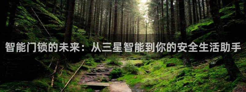 金年会现金网：智能门锁的未来：从三星智能到你的安全生活助手