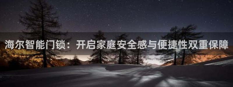 金年会拼音：海尔智能门锁：开启家庭安全感与便捷性双重保障