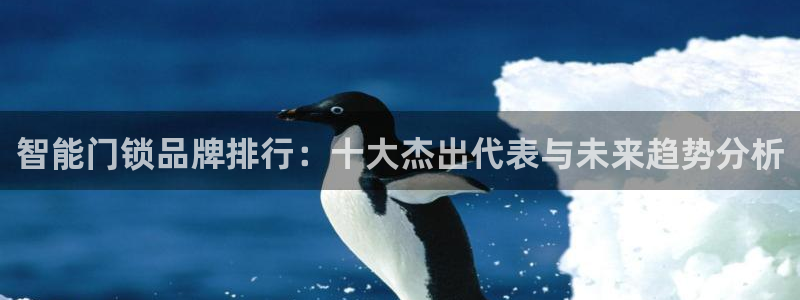 金年会官方网站下载：智能门锁品牌排行：十大杰出代表与未来趋势