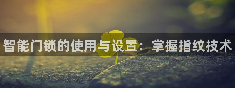 金齿科年会：智能门锁的使用与设置：掌握指纹技术
