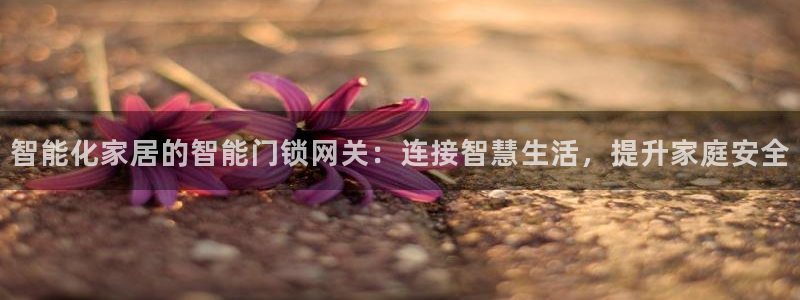 金年会赌博：智能化家居的智能门锁网关：连接智慧生活，提升家庭