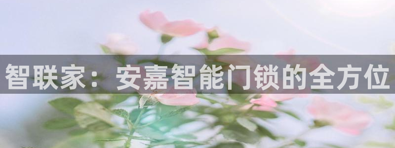 金年会软件之家下载：智联家：安嘉智能门锁的全方位