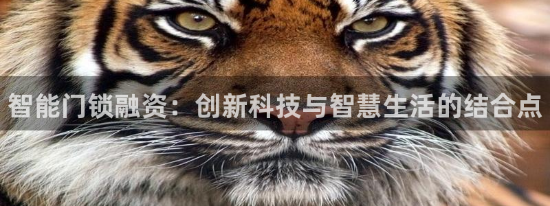 金年会app下载中国金年会：智能门锁融资：创新科技与智慧生活