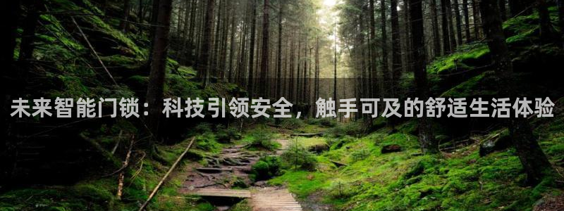 金年会品牌：未来智能门锁：科技引领安全，触手可及的舒适生活体