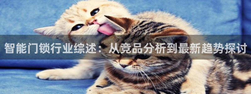 jinnianhui 金年会：智能门锁行业综述：从竞品分析到