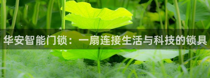 金年会app：华安智能门锁：一扇连接生活与科技的锁具
