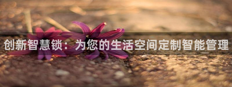 金年会体育在线登录：创新智慧锁：为您的生活空间定制智能管理