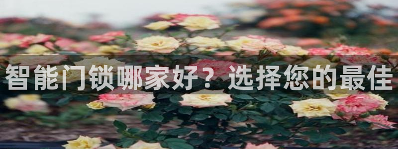 金年会拼音：智能门锁哪家好？选择您的最佳