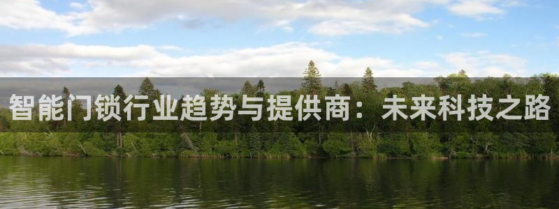 金年会官网登入：智能门锁行业趋势与提供商：未来科技之路
