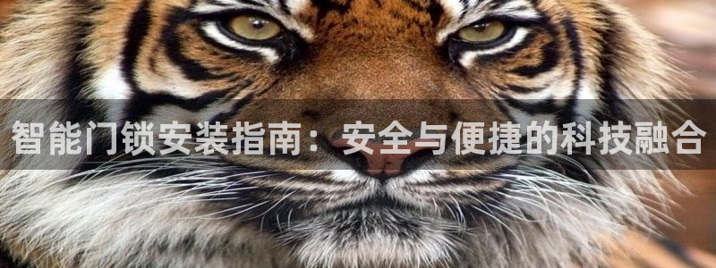 金年会体育app下载：智能门锁安装指南：安全与便捷的科技融合