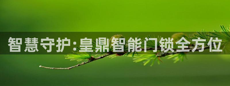 金年会app：智慧守护:皇鼎智能门锁全方位