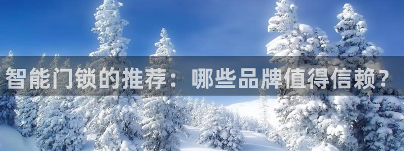 金年会代理：智能门锁的推荐：哪些品牌值得信赖？