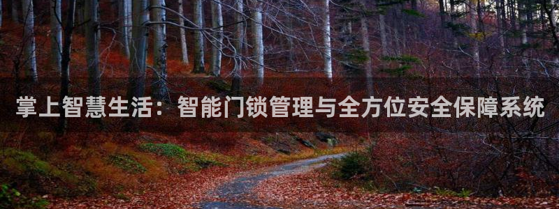 年会金：掌上智慧生活：智能门锁管理与全方位安全保障系统