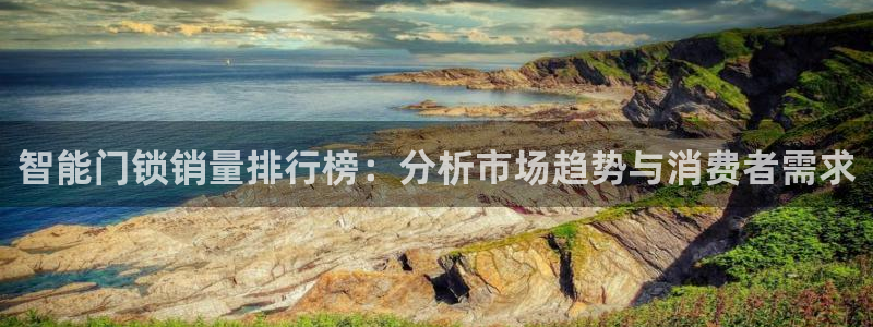 金年会下载官方：智能门锁销量排行榜：分析市场趋势与消费者需求