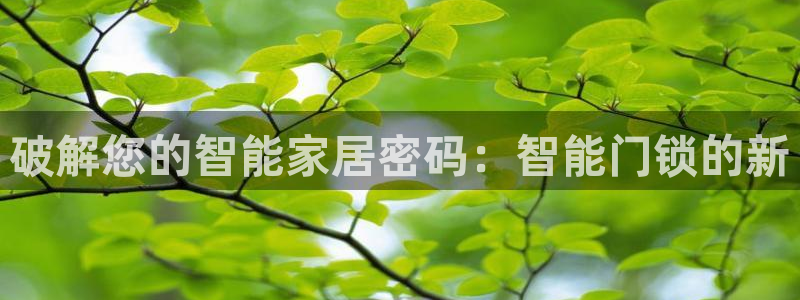 金年会app下载官网：破解您的智能家居密码：智能门锁的新