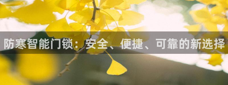 金年会6088070：防寒智能门锁：安全、便捷、可靠的新选择