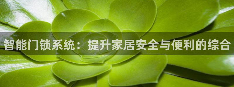 jinnianhui 金年会：智能门锁系统：提升家居安全与便