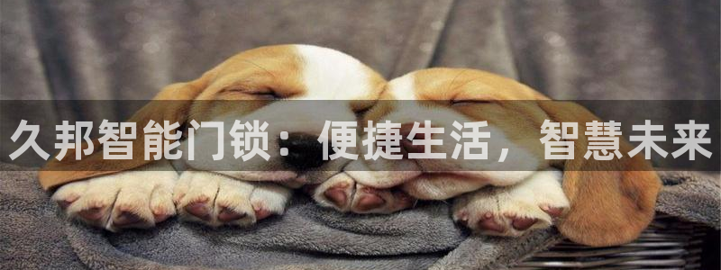 金年会嗨聊app下载：久邦智能门锁：便捷生活，智慧未来