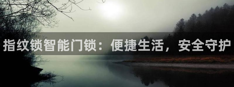金年会官网app：指纹锁智能门锁：便捷生活，安全守护