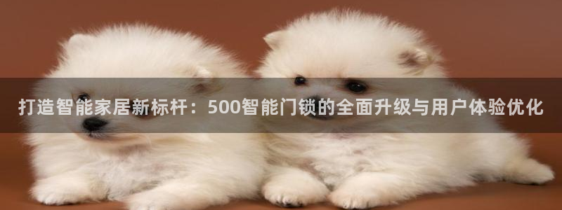 金顶年会：打造智能家居新标杆：500智能门锁的全面升级与用户