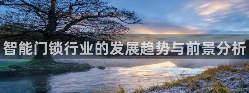 金年会金字招牌诚信至上：智能门锁行业的发展趋势与前景分析