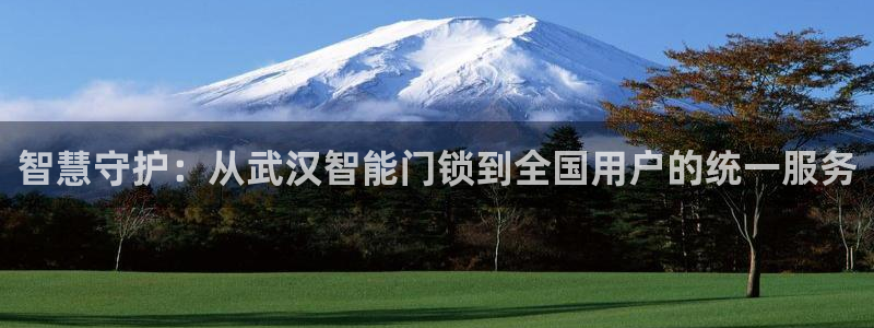 金年会信誉：智慧守护：从武汉智能门锁到全国用户的统一服务