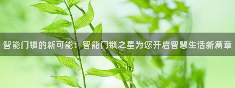 金年会 1080P：智能门锁的新可能：智能门锁之星为您开启智