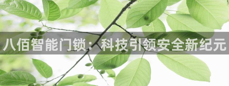 金年会入口网站：八佰智能门锁：科技引领安全新纪元