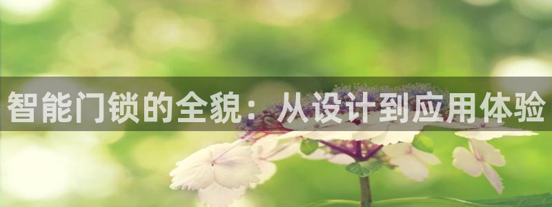 金联金年会：智能门锁的全貌：从设计到应用体验