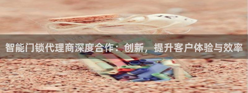 金年会娱乐提现：智能门锁代理商深度合作：创新，提升客户体验与