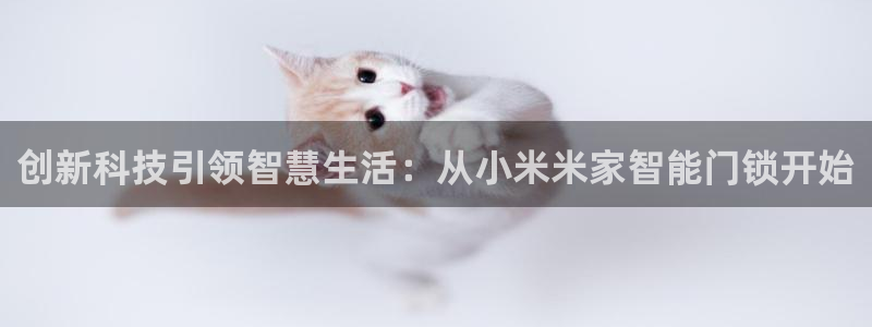 金年会6766：创新科技引领智慧生活：从小米米家智能门锁开始