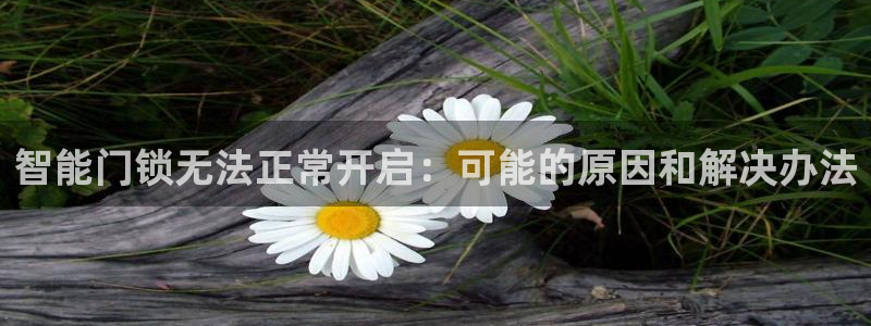 金年会入口：智能门锁无法正常开启：可能的原因和解决办法